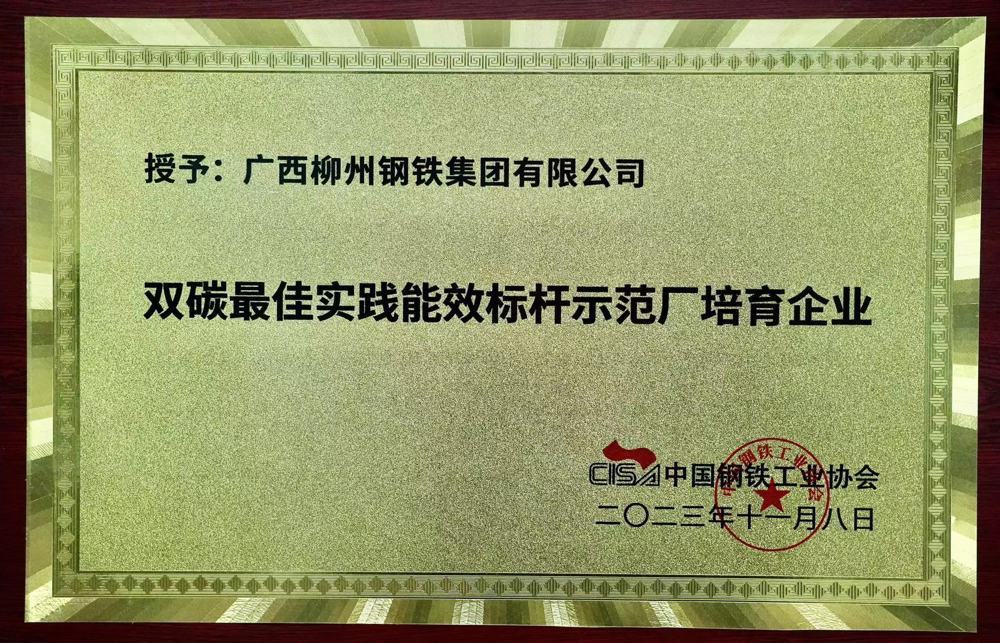 双碳最佳实践能效标杆示范厂培育企业