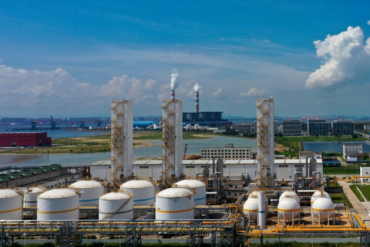 防城港分公司2 (1)