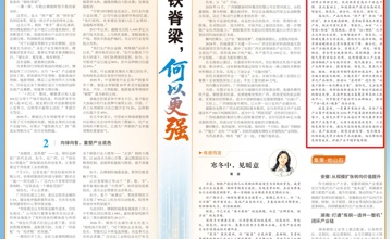 寻策 | 钢铁脊梁，何以更强？