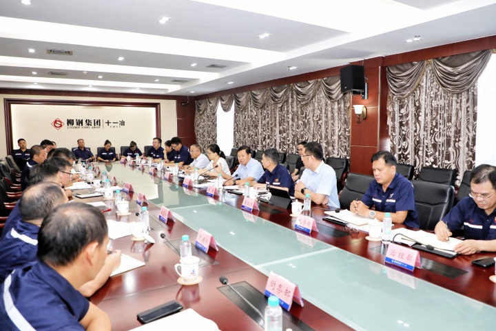 李斌带队到十一冶、新材料公司调研